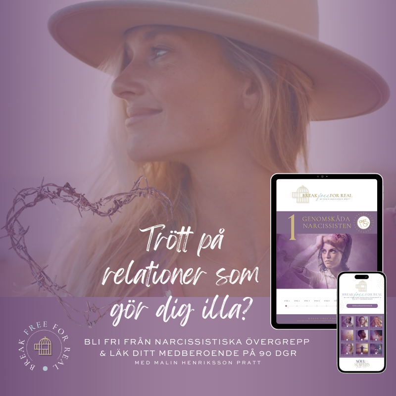 BFFR - Sociala Medier 3