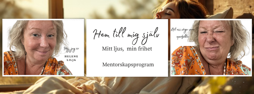 Mentorskapsprogram